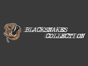 Blacksnakes logo