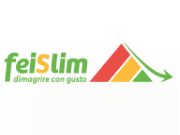 Feislim logo