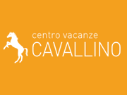 Visita lo shopping online di Camping Village Cavallino