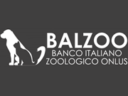 Balzoo