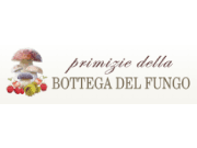 Visita lo shopping online di Bottega del Fungo