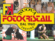 Visita lo shopping online di Fotokristall