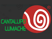 Visita lo shopping online di Cantalupo Lumache