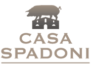 Casa Spadoni logo