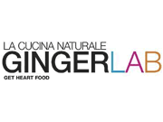 GingerLab Pisa logo