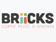 Visita lo shopping online di Briicks