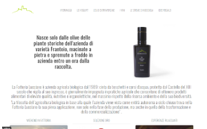 Visita lo shopping online di Fattoria Lucciano