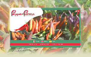 Il sito online di Pepperparma