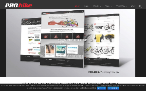 Il sito online di Pro Bike
