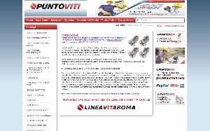 Il sito online di Puntoviti