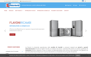 Visita lo shopping online di Flavoni Ricambi