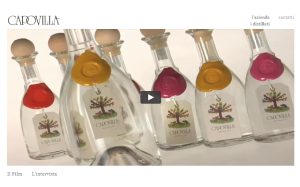 Visita lo shopping online di Capovilla Distillati