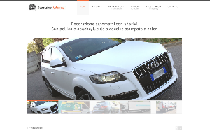 Visita lo shopping online di Decorazioni Automezzi