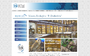 Visita lo shopping online di Museo Zoologico P. Doderlein