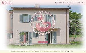 Il sito online di The Pink Fox