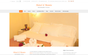 Visita lo shopping online di Hotel Il Monte San Savino