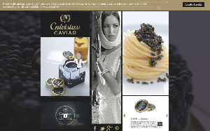 Visita lo shopping online di Calvisius