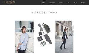 Visita lo shopping online di Dstrezzed