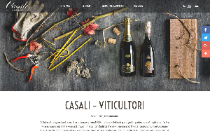 Visita lo shopping online di Casali vini