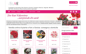 Visita lo shopping online di Fiori a Gorizia