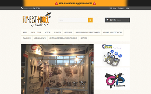 Il sito online di Fly best model