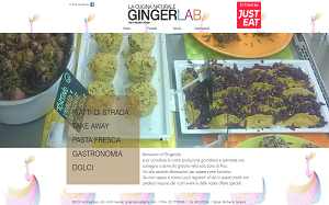 Il sito online di GingerLab Pisa