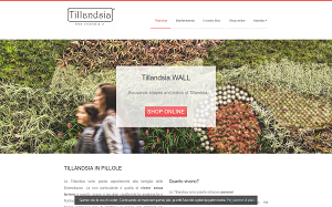 Visita lo shopping online di Tillandsia