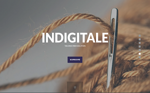 Visita lo shopping online di InDigitale