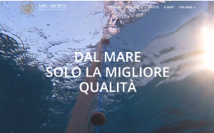 Il sito online di Mr moris