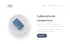 Il sito online di Calipso Lab