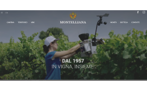 Il sito online di Montelliana