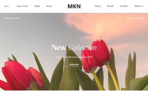Il sito online di MKN