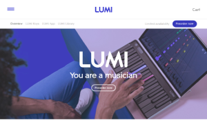 Il sito online di Lumi