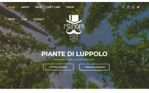 Il sito online di MrHops