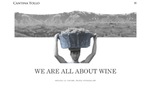 Il sito online di Cantina Tollo