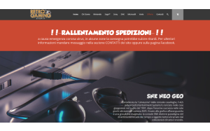 Il sito online di Retrogaming shop